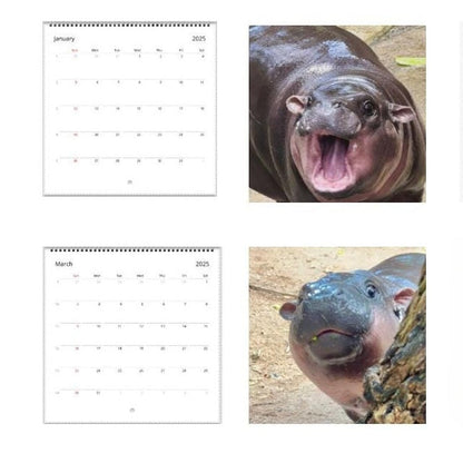 ✨Moo Deng Calendar | 2025 Calendar