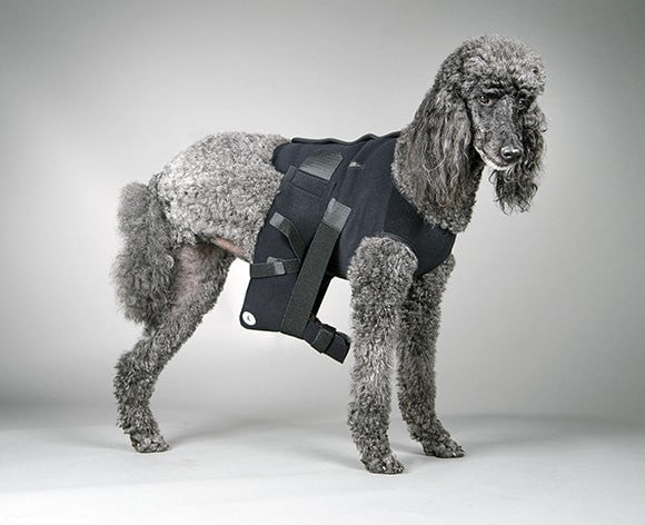 Ehmer Sling with Vest