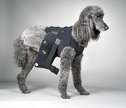 Ehmer Sling with Vest