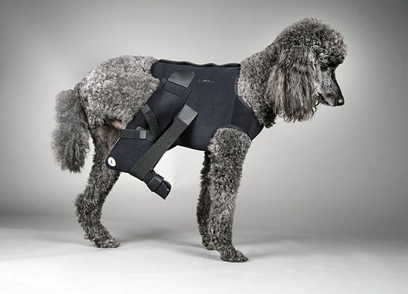 Ehmer Sling with Vest