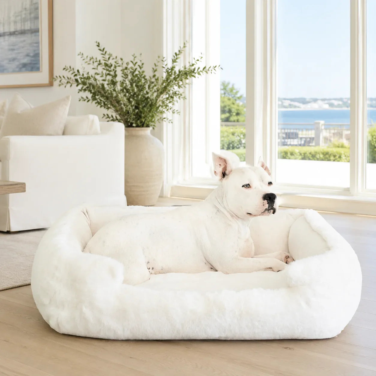 Ruby Puff® Ortho Lounger Companion-Pedic® Luxury Dog Bed