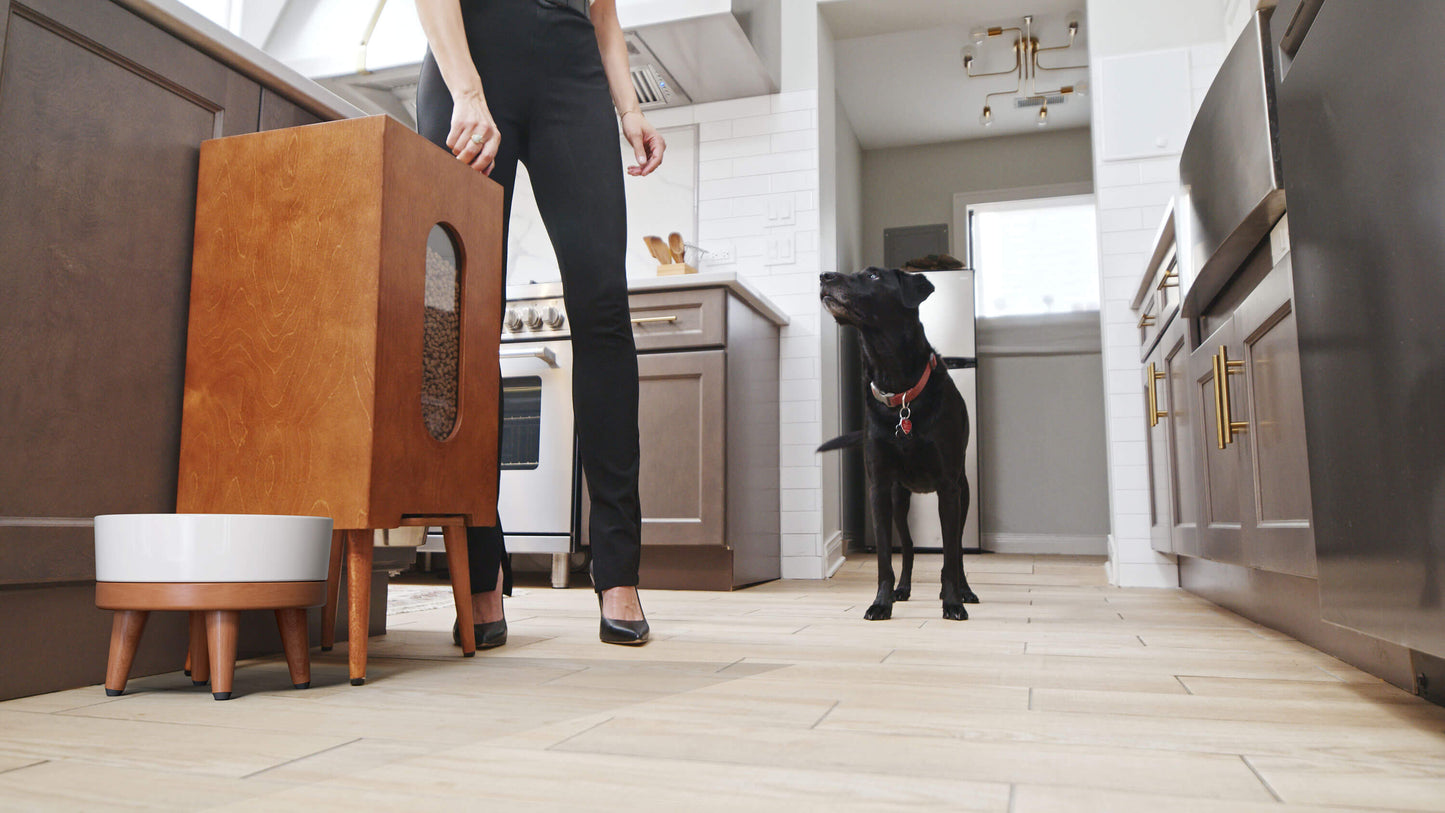 Houndsy Kibble Dispenser